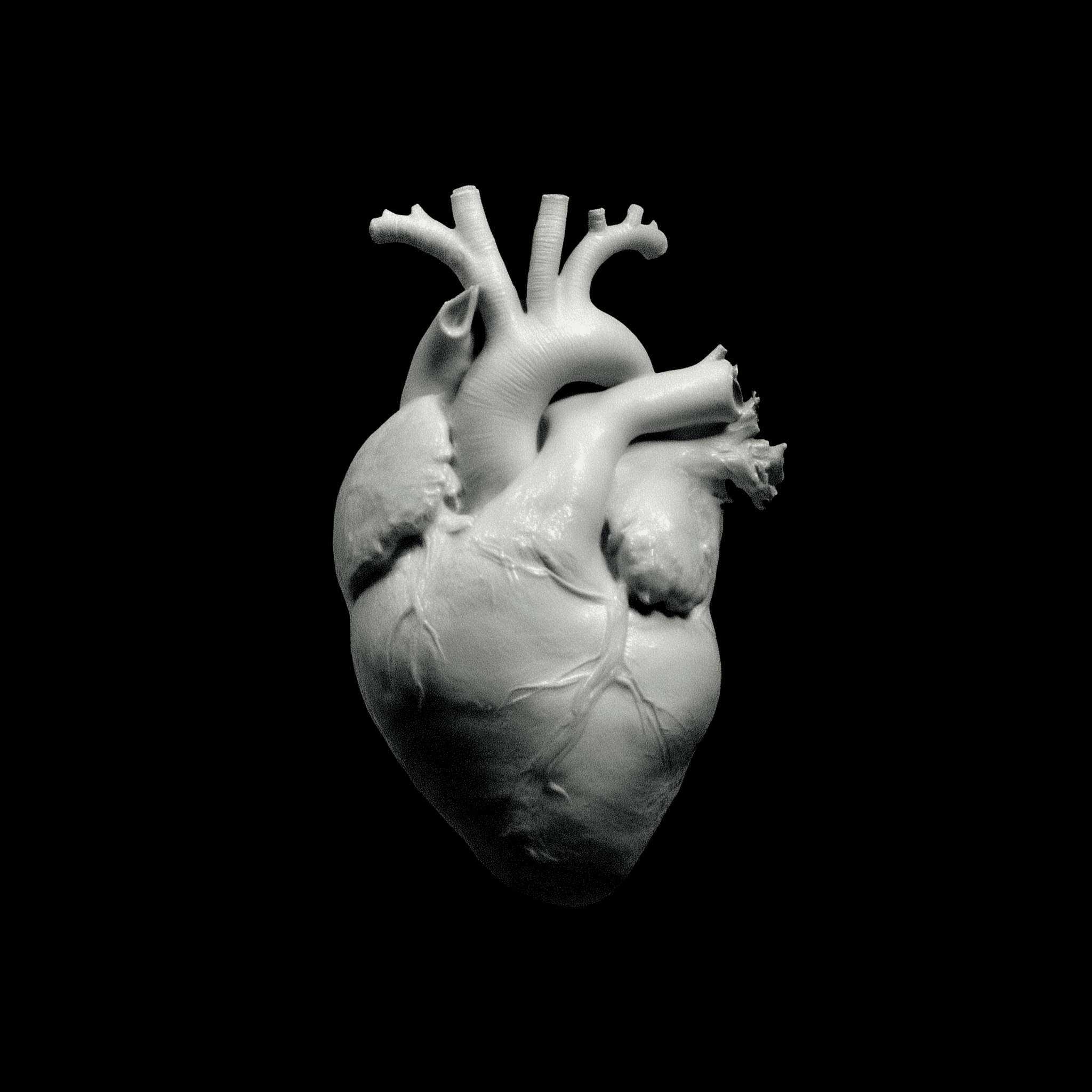 Heart Health