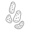 Cell