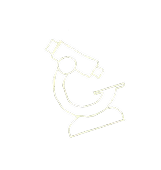 Microscope